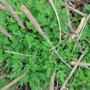 사철농장 이미지