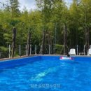 쉼표 글램핑&캠핑 네이버블로그