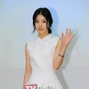뿌리깊은 나무 이미지