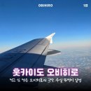 피식오락실 | 홋카이도 오비히로 여행 뚜벅이 일정 1편 숙소 맛집 코스 총정리