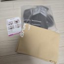 더바른핏 | 바른자세 잡아주는 허리 척추보호대 바로핏 코어밴드 스트레칭 병행 후기