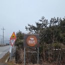 카페 본 | 담양디저트카페 마르페 직접 가본 후기