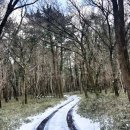 쌩텀펜션 이미지