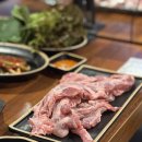 영통구청 티스토리