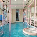 칠월키즈풀빌라 남해선구점 이미지