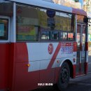 시내공판장