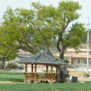찬물도랑 이미지