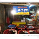 삼천포상회 - 포항시 북구 죽도시장13길 1-8 | 삼천포상회