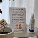 아산 염치읍빵집 방수와 베이글이 맛있는 쁘띠프렌치베이글 은행나무길 본점