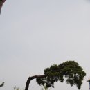 응구네 Daum카페