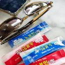 차귀도 약국 | 제주 돌고래투어 차귀도 요트투어 가격 내돈내산 유람선 가족여행지 추천지