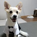 그루밍케이 이미지