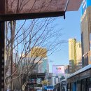 *내돈내산* 다 늙어서 하게 된 드림렌즈! 결정부터 구매후기까지