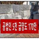 5천/공법인/ 법인양도 (170만원) 최고추천 법인매매 전문컨설팅 이미지