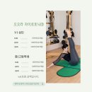 바레 | 동탄 오오라 자이로토닉&amp;바레 후기