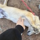 소문난펜션민박 이미지