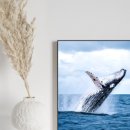 고래로L 이미지