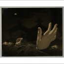 뮤지엄 한미 이미지