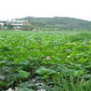 양원주유소 이미지