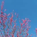 원동마을길 이미지