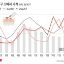 금란 이미지