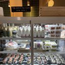 월출향가 이미지