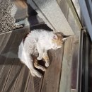 커피썬 - 남양주시 수레로 655 | 커피썬