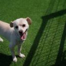 은가람펜션 이미지