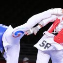 팀태권도&스포츠 이미지