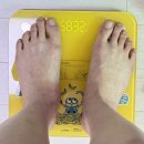 정상체중 마운자로 5mg 유지 78일차 -12.16kg 테이퍼링 후기