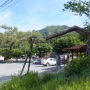 (주)상학건설 | 비경 용담폭포를 품고 있는 금수산을 오르다