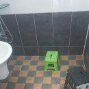 초평로2 이미지