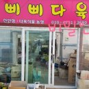 삐삐다육 이미지