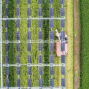 초록빛 태양광발전소 이미지