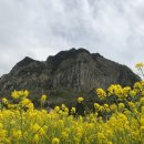 화수목민박 이미지