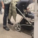 Romantic m | 로맨틱 무브(ROMANTIC MOVE) 포그필드 컨템포러리 더비 구매 후기