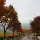 화명수목원관리사업소 이미지