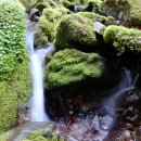 계곡풍경 이미지