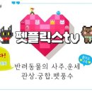 닭플릭스 이미지