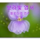 멜로디언 이미지