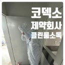 코덱소