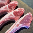 고기자리 이미지