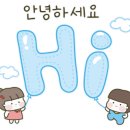 호수피드 네이버블로그