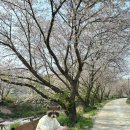 갈산리 마을회관 이미지