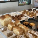 솔브레드 이미지