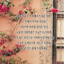7월 17일(금) 오늘 제78회 '제헌절'로, 이 날과 관련된 여러가지 이야기 이미지