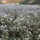 인삼랜드휴게소 이미지