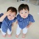 대한민국만세 네이버블로그