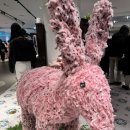아드바크 | 합사실 사러 아드바크 팝업 다녀온 후기 | 뜨개일기🧶