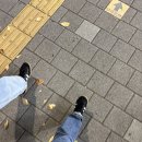 일상 (두번째 결혼기념일, 한라산 등산 예약)